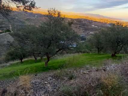Parcela rústica en venta en Vélez-Málaga zona Benajarafe