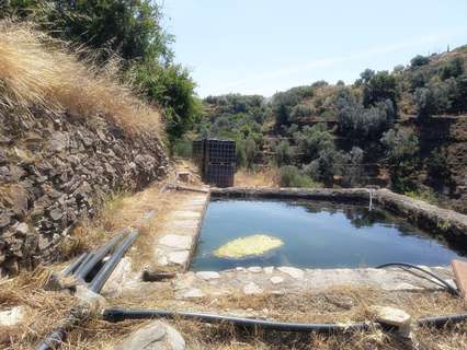 Parcela rústica en venta en Canillas de Aceituno