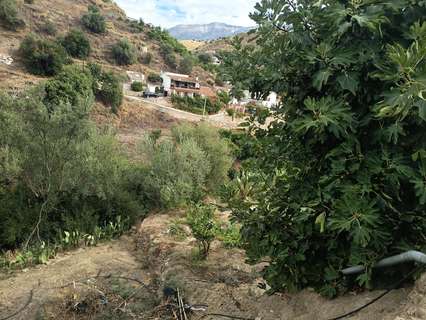 Parcela rústica en venta en Canillas de Aceituno