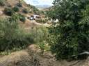 Parcela rústica en venta en Canillas de Aceituno
