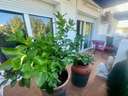 Apartamento en venta en Castelló d'Empúries zona Empuriabrava
