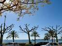 Apartamento en venta en Roses