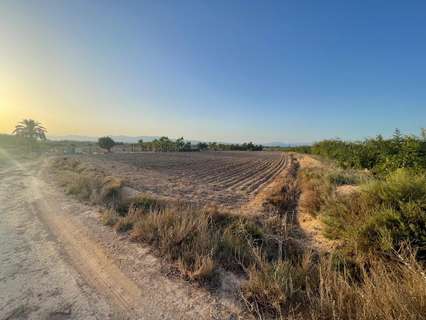 Parcela rústica en venta en Elche/Elx zona La Marina