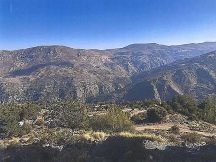 Parcela rústica en venta en Güejar Sierra