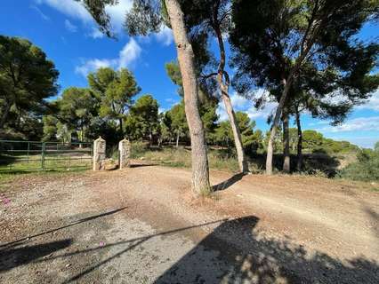 Parcela rústica en venta en Murcia