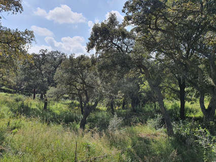Parcela rústica en venta en San Roque zona Sotogrande