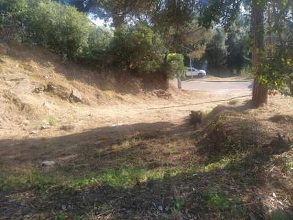 Parcela rústica en venta en Tordera rebajada