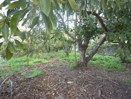 Parcela en venta en Canillas de Albaida