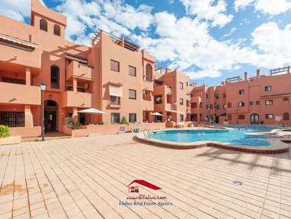 Apartamento en alquiler en Torrevieja