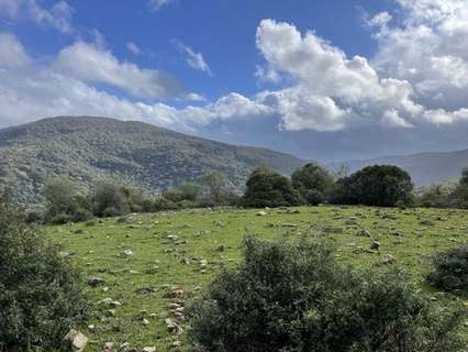 Parcela en venta en Colmenar