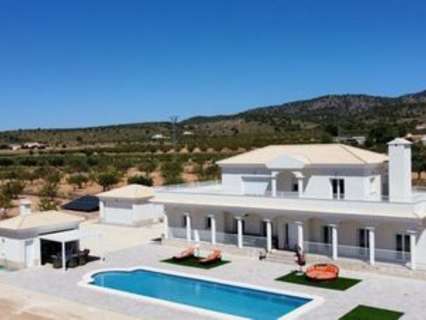 Villa en venta en El Pinós/Pinoso