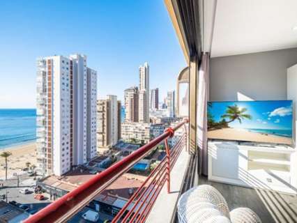Apartamento en alquiler de temporada en Benidorm