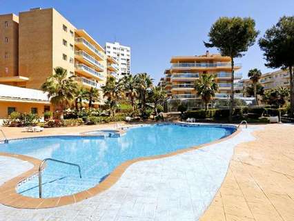 Apartamento en alquiler de temporada en Mont-Roig del Camp