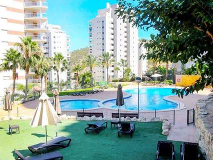 Apartamento en alquiler de temporada en Benidorm