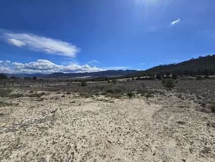 Parcela en venta en Salinas