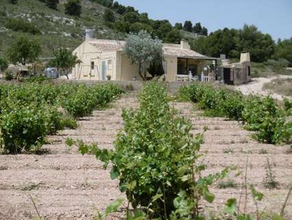 Casa en venta en Yecla