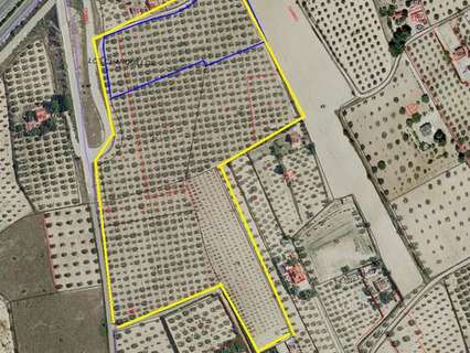 Parcela en venta en Sax