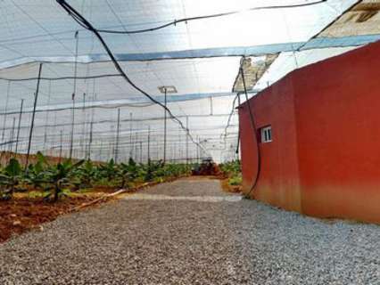 Casa en venta en Gáldar