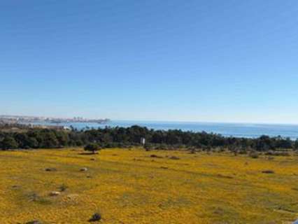 Apartamento en venta en Orihuela zona Orihuela-Costa