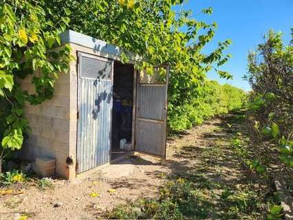 Parcela en venta en Santa Bàrbara