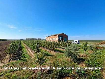Parcela en venta en Alcoletge