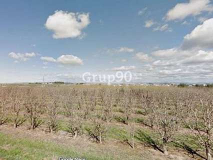Parcela en venta en Albatàrrec