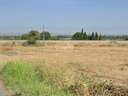 Parcela en venta en Alcoletge