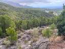 Parcela en venta en Callosa d'En Sarrià