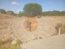 Parcela en venta en Ayamonte