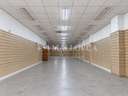 Local comercial en alquiler en Palma de Mallorca