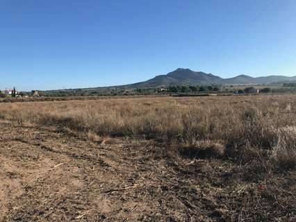 Parcela rústica en venta en Salinas