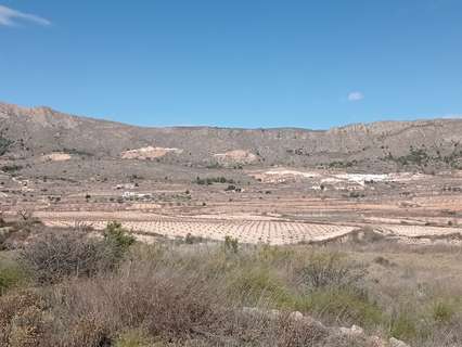 Parcela rústica en venta en La Romana