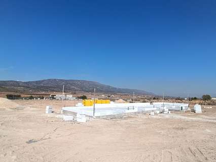 Villa en venta en El Pinós/Pinoso