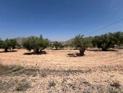Parcela rústica en venta en Orihuela zona Barbarroja