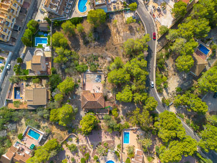 Parcela rústica en venta en Algorfa zona Algorfa