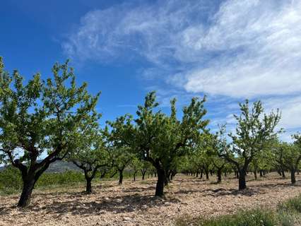 Parcela rústica en venta en Hondón de los Frailes zona Hondon De Los Frailes