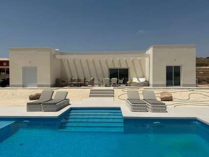 Villa en venta en El Pinós/Pinoso