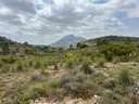Parcela rústica en venta en Hondón de las Nieves zona Hondon de las Nieves