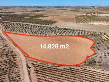 Parcela en venta en Madrigueras