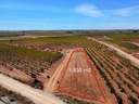 Parcela en venta en Madrigueras