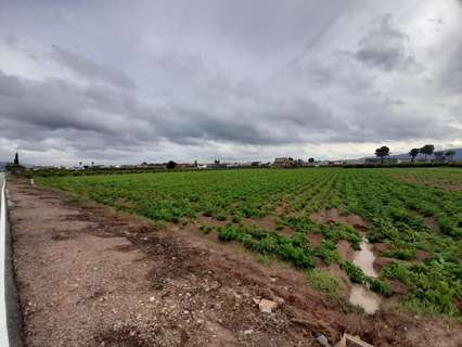 Parcela urbana en venta en Murcia zona El Esparragal