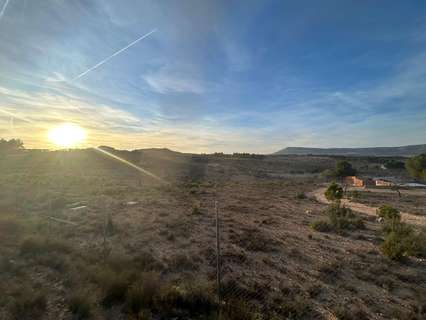 Parcela rústica en venta en Almansa rebajada