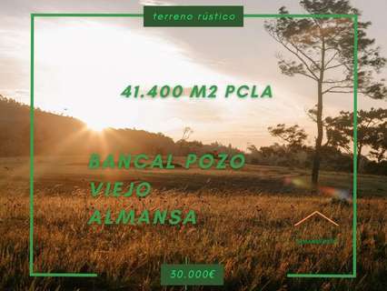 Parcela rústica en venta en Almansa