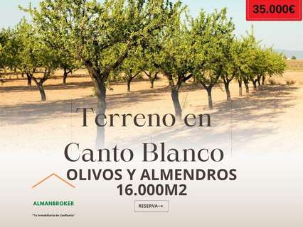 Parcela rústica en venta en Almansa