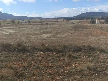 Parcela rústica en venta en Ayora