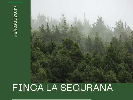 Parcela rústica en venta en Almansa