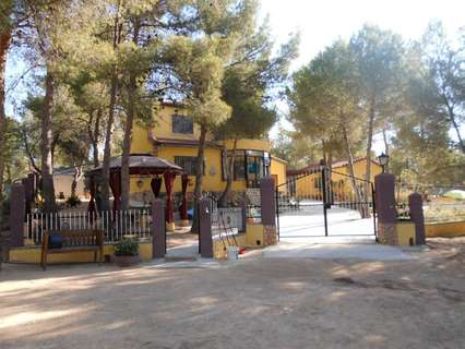 Chalet en venta en Almansa