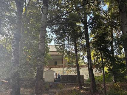 Chalet en venta en Almansa