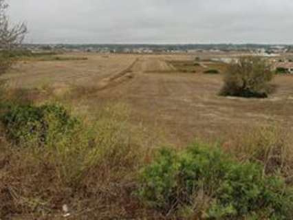 Parcela en venta en Chiclana de la Frontera