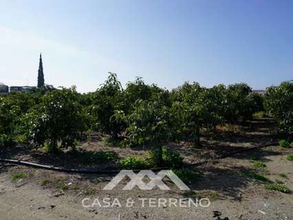 Parcela en venta en Algarrobo